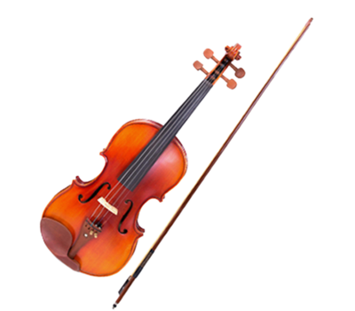 Viola